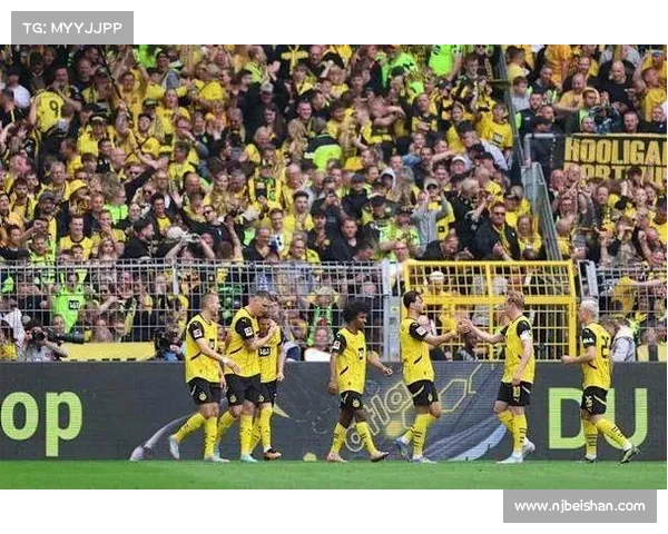 德甲赛季最佳阵容揭晓 拜仁多特联手占据主导地位